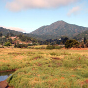 Greenbrae photo courtesy of Thomas Henthorne