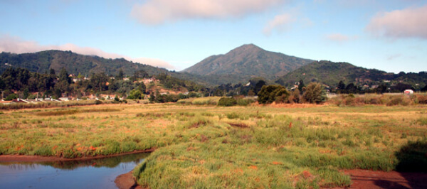 Greenbrae photo courtesy of Thomas Henthorne