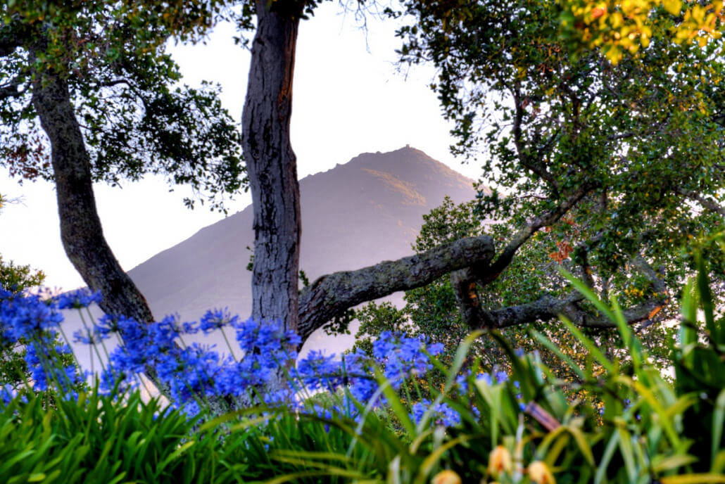 Marin County Real Estate courtesy of Thomas Henthorne Mount Tamalpais