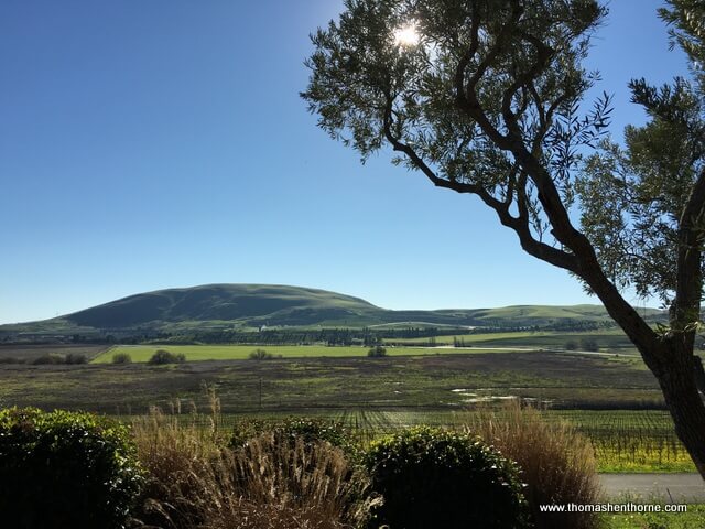 photo of the view from ram's gate valley and hills in background with blue sky and olive tree