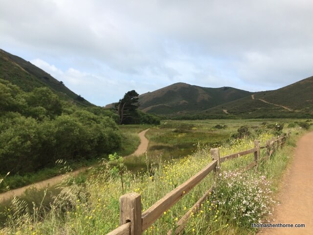 Tennessee Valley trail photo