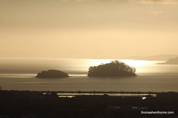 Marin Islands At Sunrise