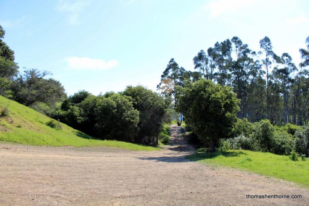 photo of the trail