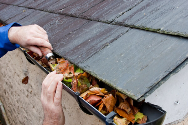 Leaves being cleaned from a gutter for Marin winter storm preparation guide article