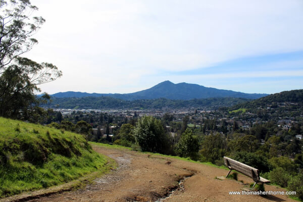 Bench on Gold Hill Fire Road Trail with Mt. Tamalpais in background
