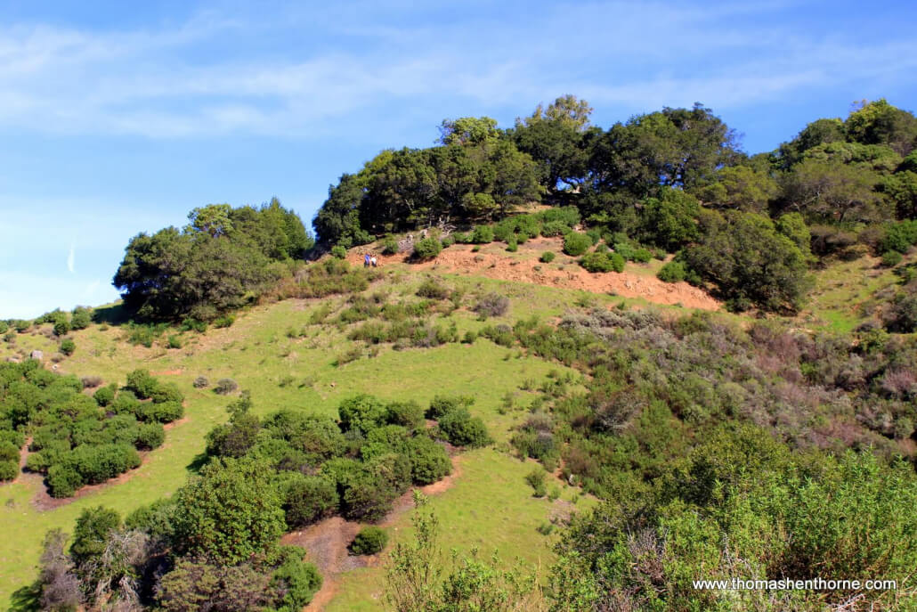 Gold Hill Fire Road 7 View of trail from below