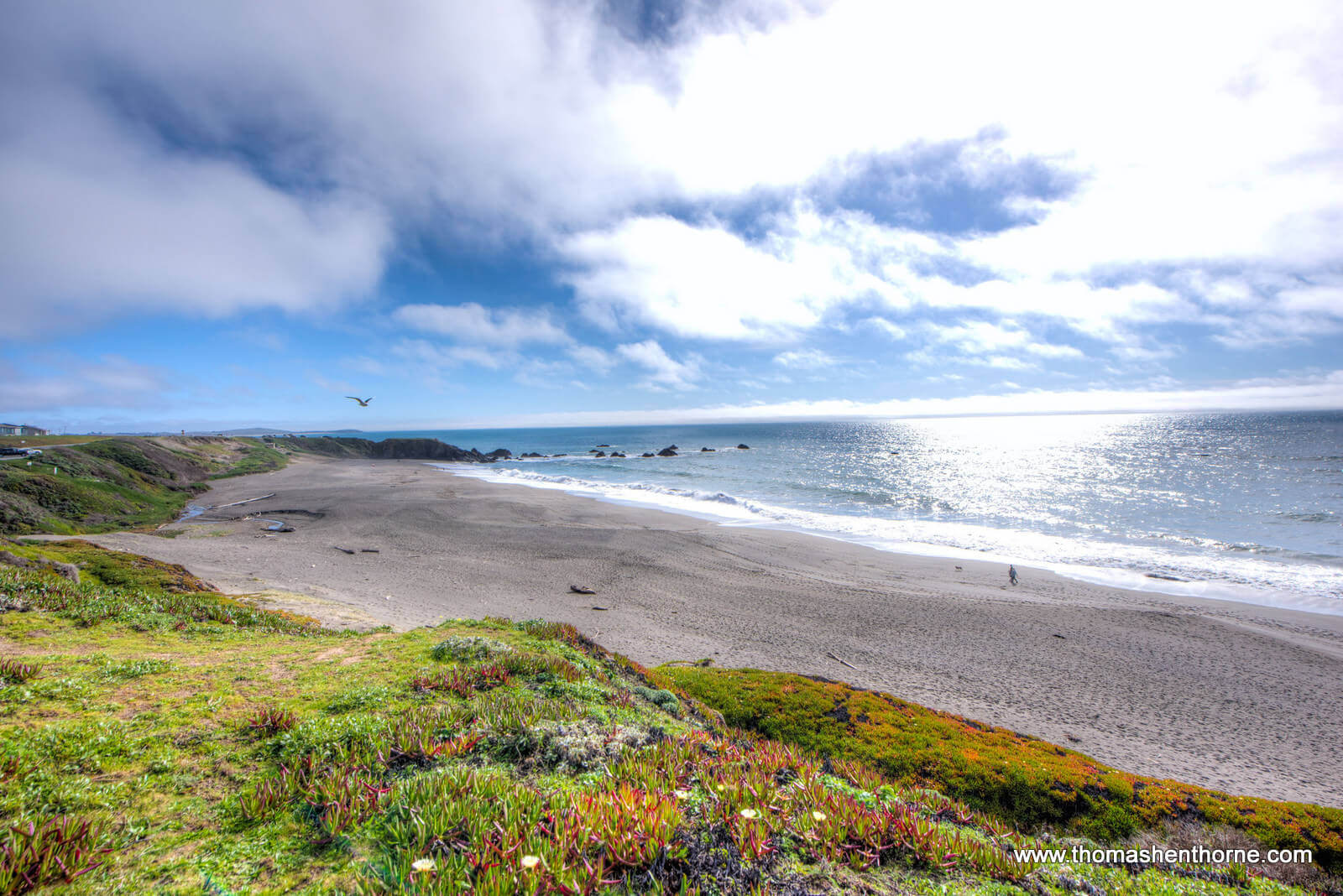 125 Calle del Sol Bodega Bay – 43 Portuguese Beach in Sonoma County California