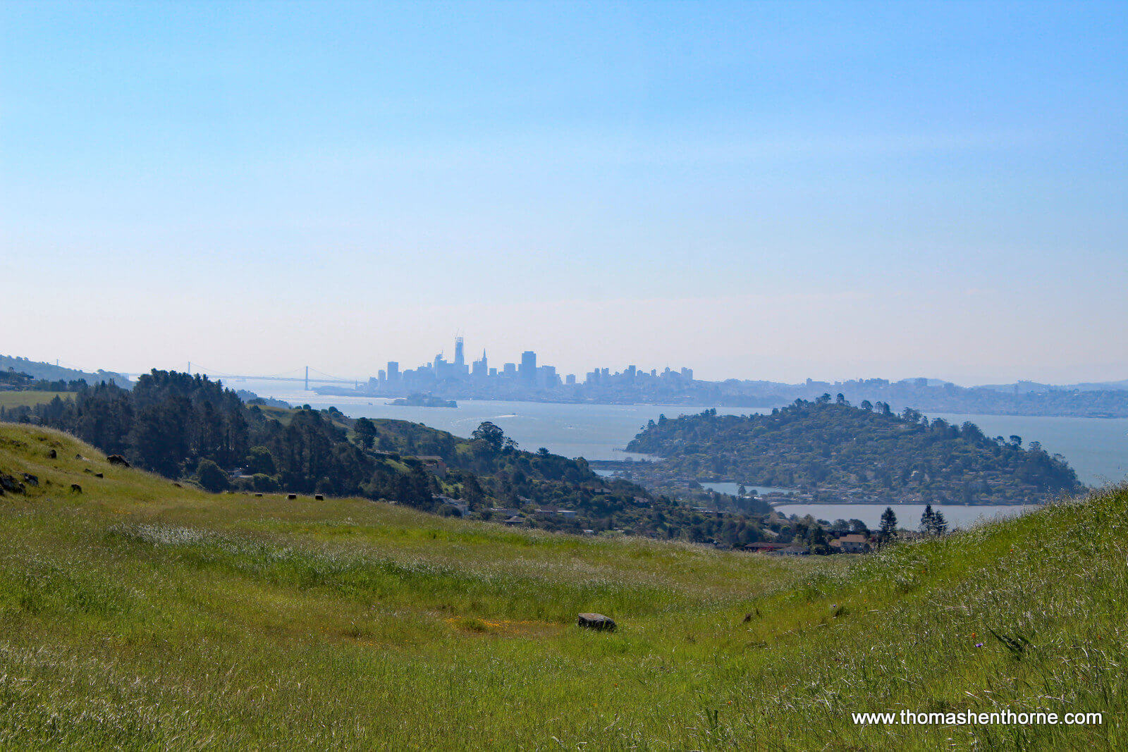 View of the SF skyline from Ring Mountain Hike Trail