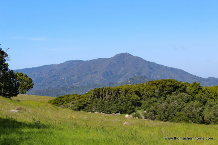 Ring Mountain Hike – 22 View of Mt. Tamalpais from Ring Mountain Trail