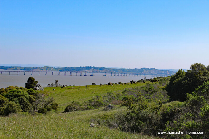 Ring Mountain Hike – 26 Richmond San Rafael Bridge view from Ring Mountain