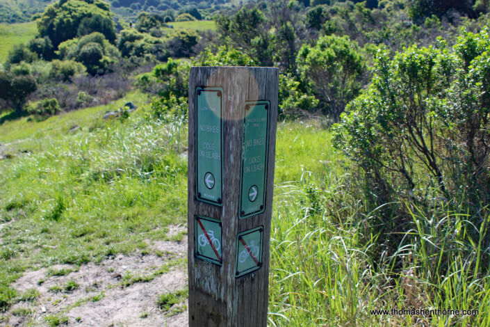 Ring Mountain Hike – 28 Split between Loop Trail and Phyllis Ellman Trail