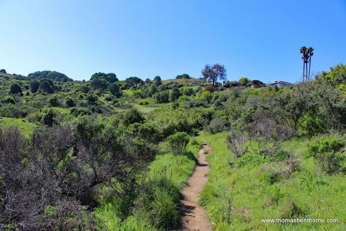 Ring Mountain Hike – 29 View of start of trail