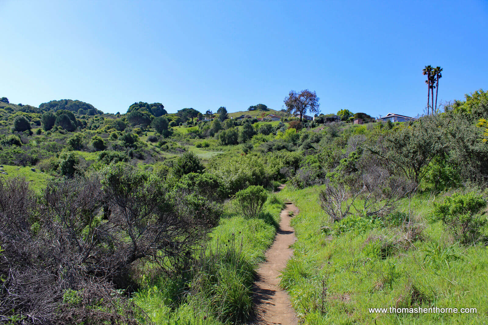 Ring Mountain Hike - 29 View of start of trail
