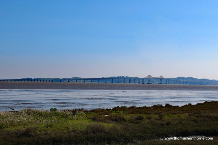 Ring Mountain Hike – 3 View of the Richmond San Rafael Bridge from the Ring Mountain Hike
