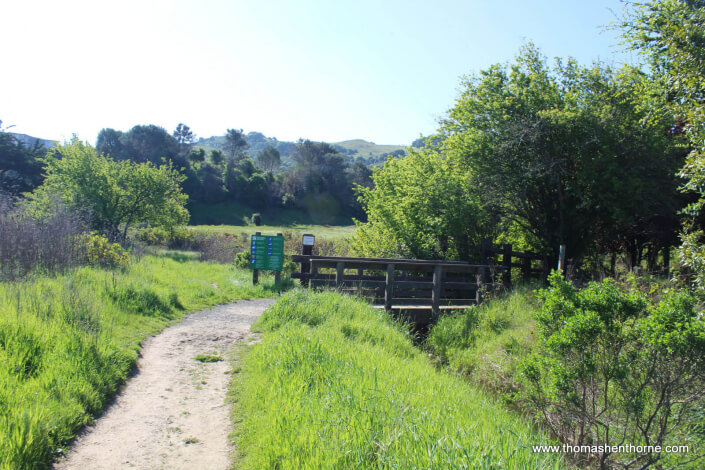 Ring Mountain Hike – 6 Beginning of the Ring Mountain Trail