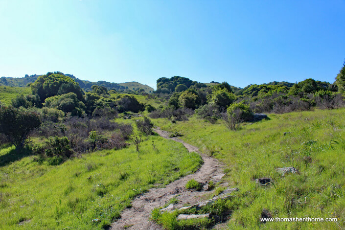 Ring Mountain Hike – 8 Photo of trail
