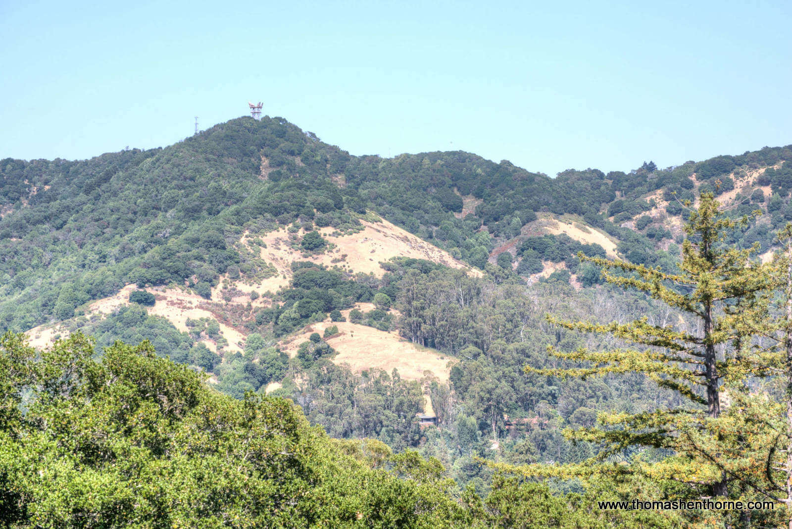 36 Tampa Drive San Rafael -- 37 View of San Rafael hills from home