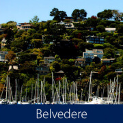 Belvedere Homes for Sale