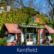 Kentfield Homes for Sale Kentfield Real Estate