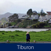 Tiburon Homes for Sale