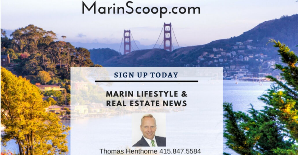 Marin Real Estate Newsletter V3