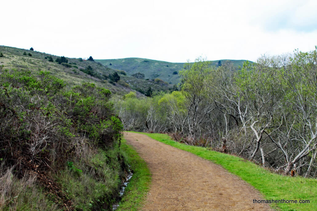 Tennessee Valley Hike 005 Beginning of Fox Trail