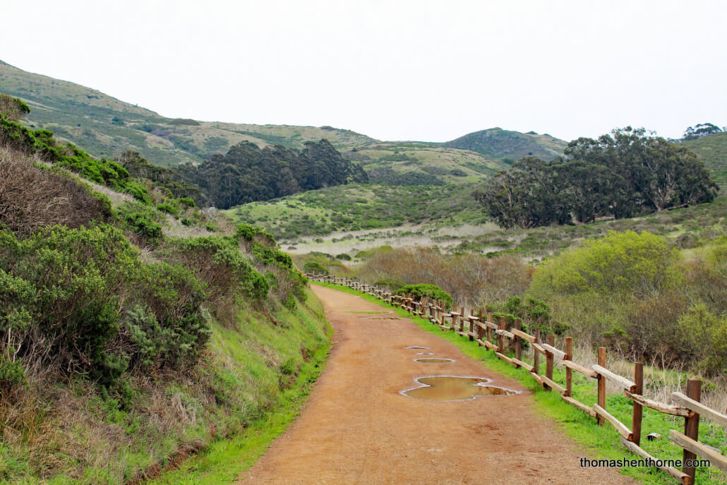 Tennessee Valley Hike 013 Tennessee Valley Trail With Puddles of Water