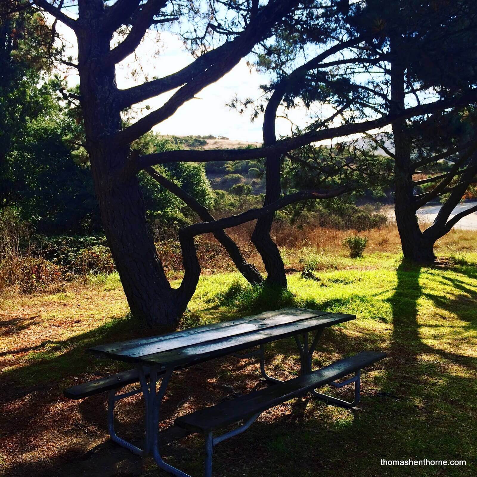 Tennessee Valley Hike 016 Picnic Table at Tennessee Valley Parking Lot