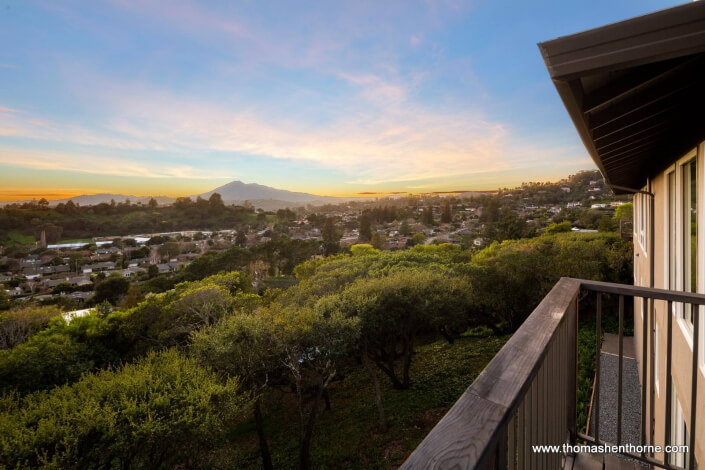 Mount Tamalpais in distance