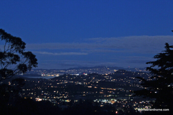 City lights of Mill Valley