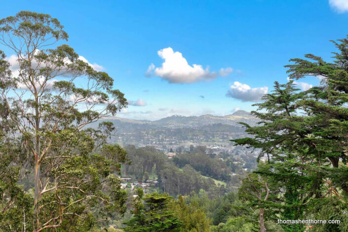 View from 125 Bayview Drive in Mill Valley