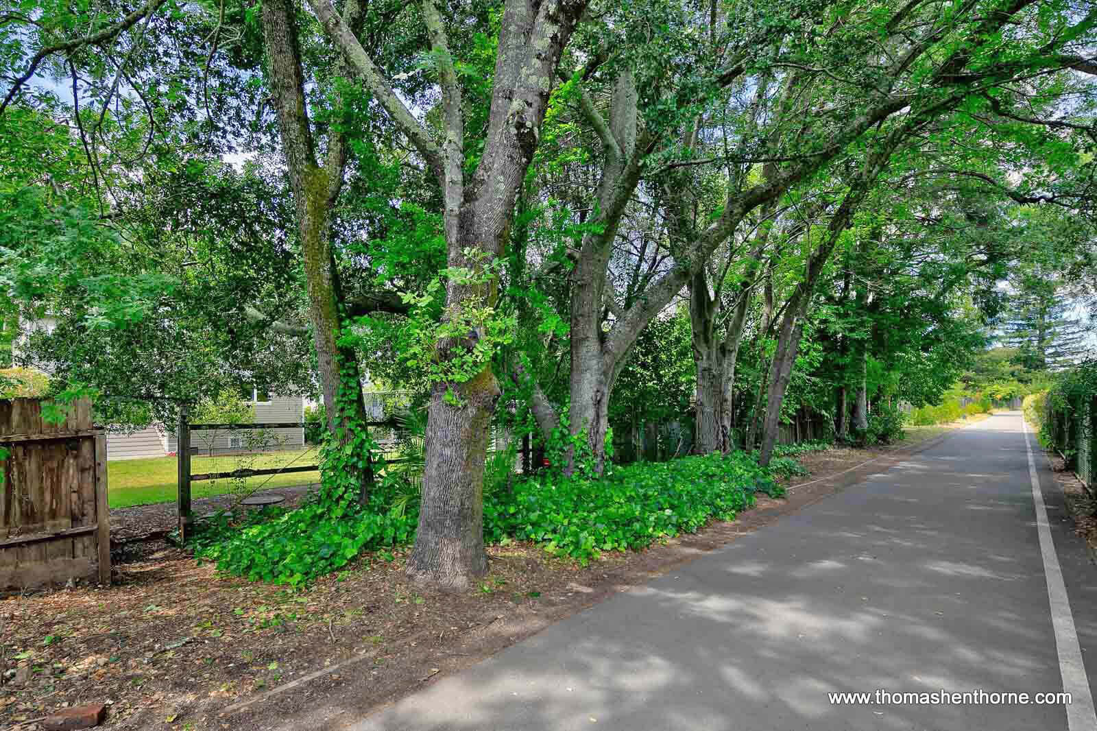 306-Kent-Ave-Kentfield 08 of 80 Corte Madera Pathway