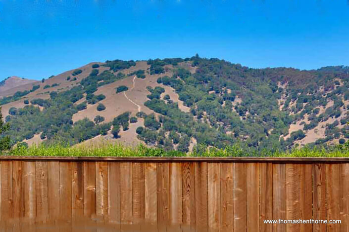 view of marin hills