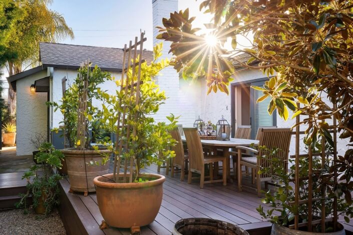 Sun shining through tree above outdoor dining table