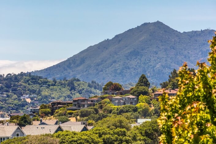 Mt. Tamalpais