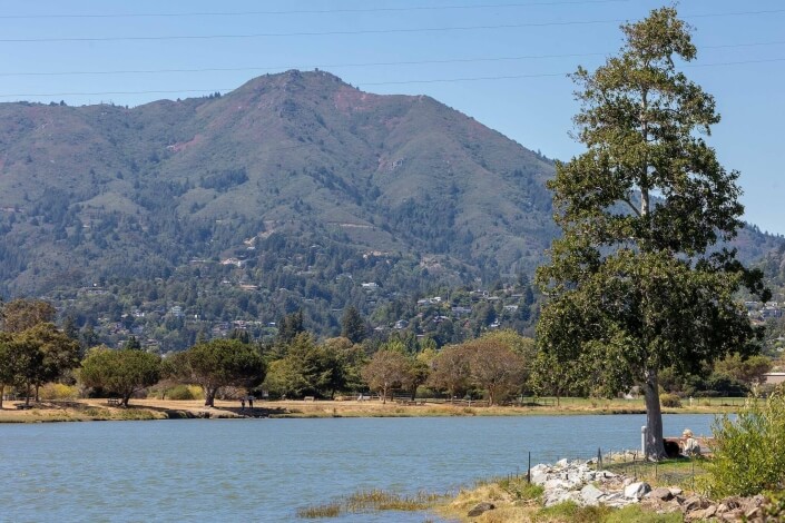 View of bay and Mt. Tamalpais from 6018 Shelter Bay in Mill Valley