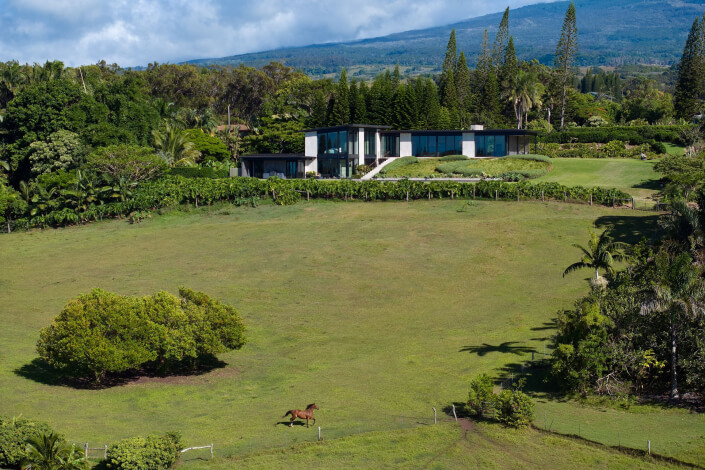 A modern Maui estate with large windows sits on a lush, green hillside surrounded by trees and mountains; a lone horse runs across the open grassy field in the foreground.