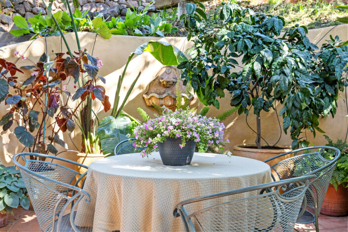 A round table with a beige tablecloth and four metal chairs sits in a sunny garden patio. A potted flowering plant is in the center, surrounded by lush green and red-leafed plants against a stucco wall.