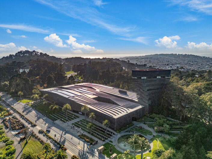 Aerial view of a modern building (the de Young museum in San Francisco's golden gate park) with a wavy, patterned roof surrounded by trees and gardens, set against a cityscape under a blue sky with scattered clouds.