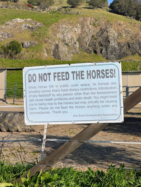 A large white sign reads, “DO NOT FEED THE HORSES!” and explains that feeding can harm horses due to dietary restrictions. The sign is posted outdoors, near a fence and grassy hillside with rocks in the background.