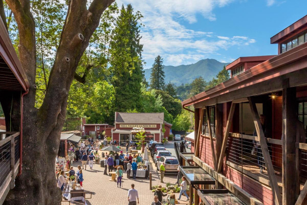 Mill Valley Lumber Yard: A lively outdoor market is set between rustic red buildings, with people browsing stalls. Tall trees and green mountains rise in the background under a bright blue sky.