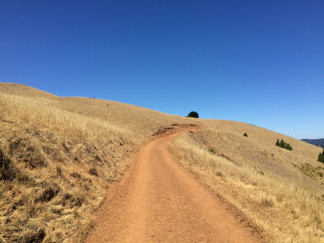 Hike up to Mt. Baldy at Phoenix Lake A winding dirt trail cuts through dry, golden grass on gently rolling hills under a clear, bright blue sky with a few distant green bushes.
