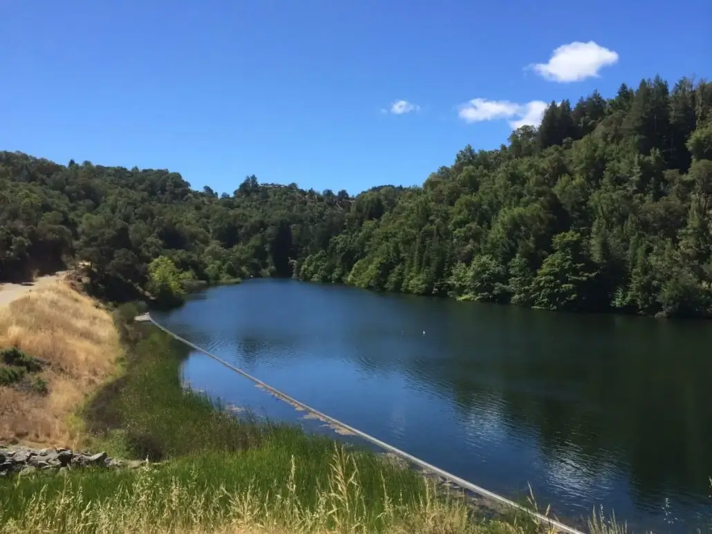 Phoenix Lake view