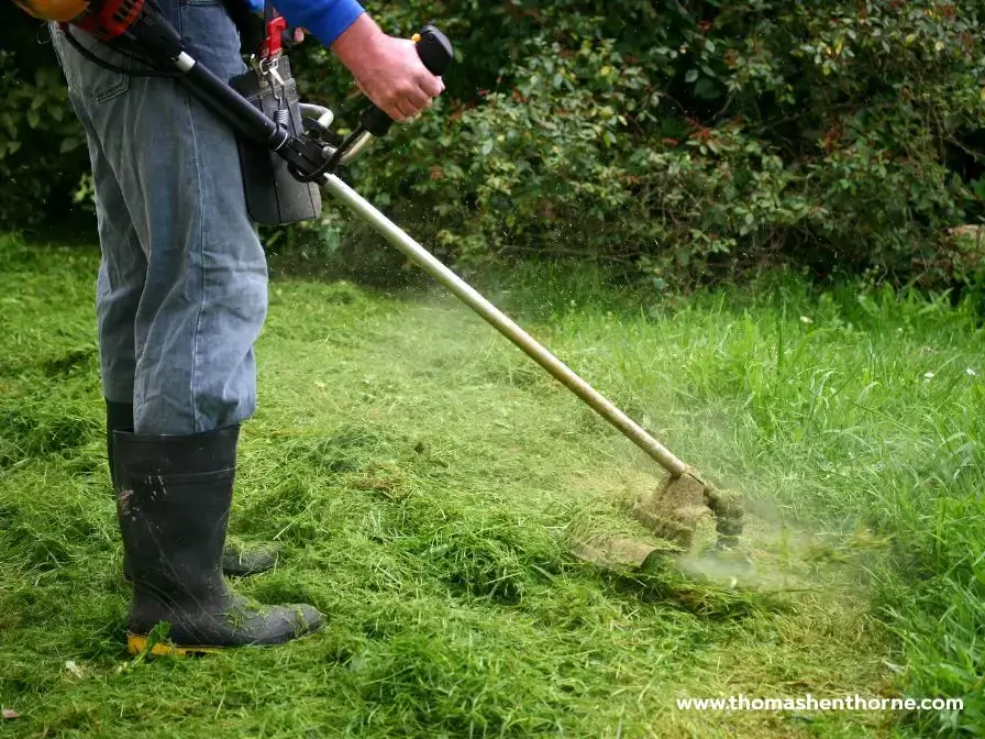 A person in boots and jeans operates a string trimmer to cut vibrant green grass in a garden. Clippings of freshly cut grass and leaves are scattered on the ground, with bushes visible in the background.