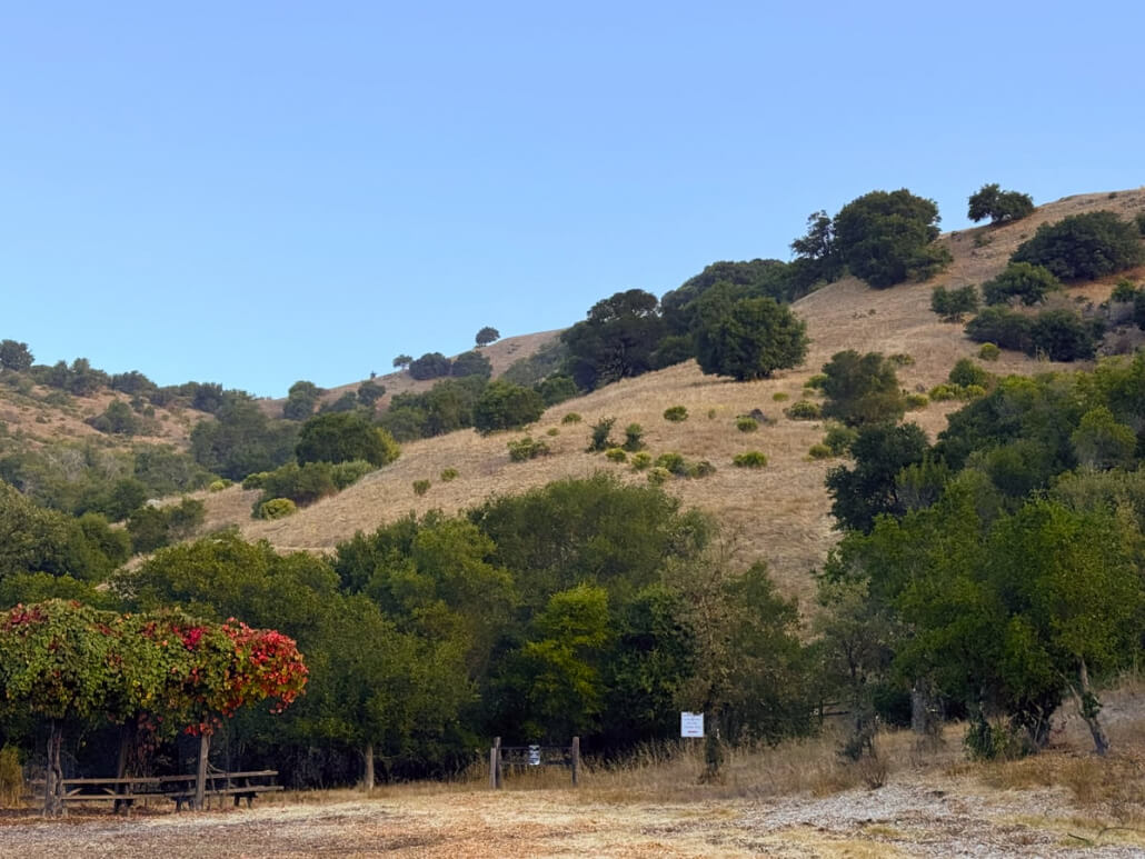 Sorich Ranch Picnic Tables