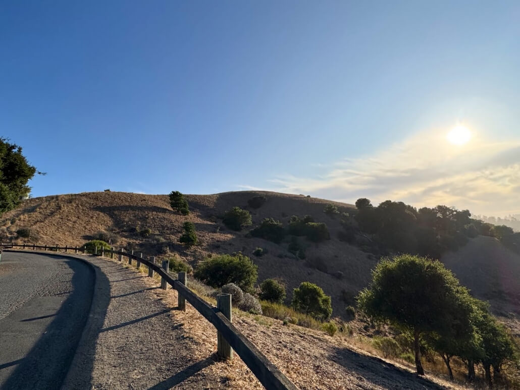 A winding road snakes alongside a dry, grassy hillside sprinkled with trees beneath a clear blue sky. The low sun stretches long shadows across the scene and bathes the landscape in golden light.
