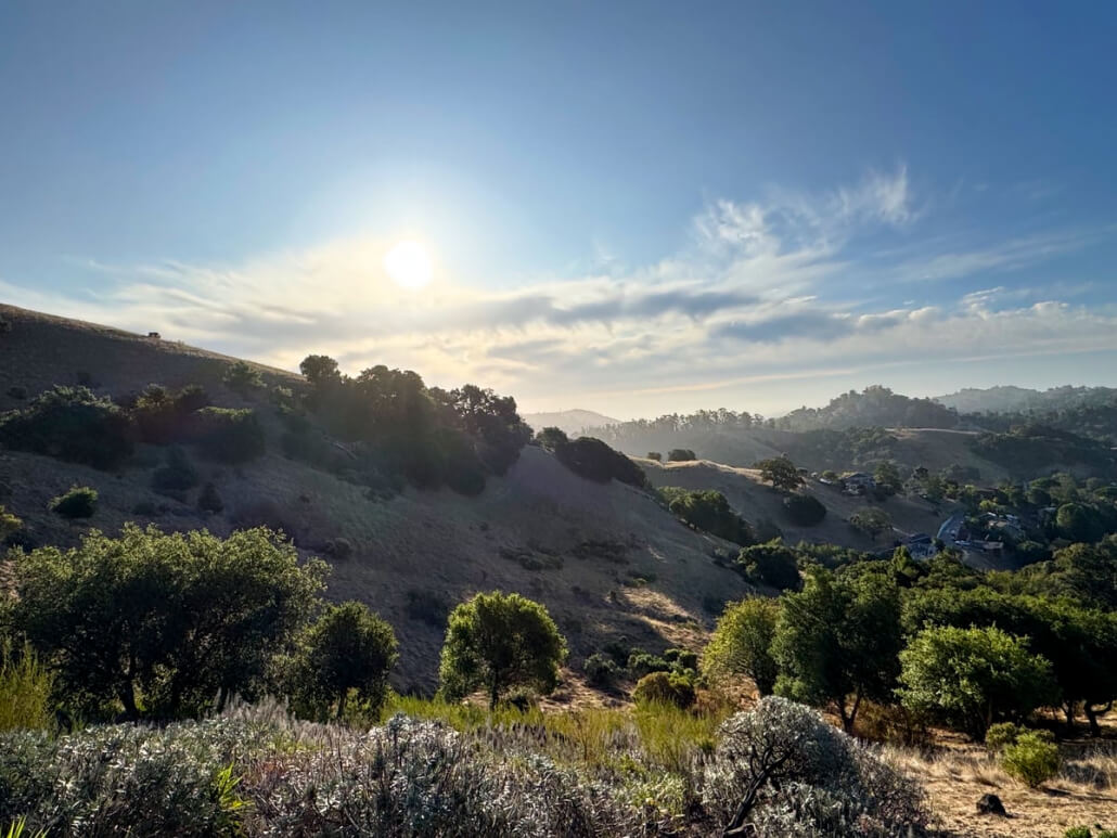 View from Tomahawk Drive San Anselmo